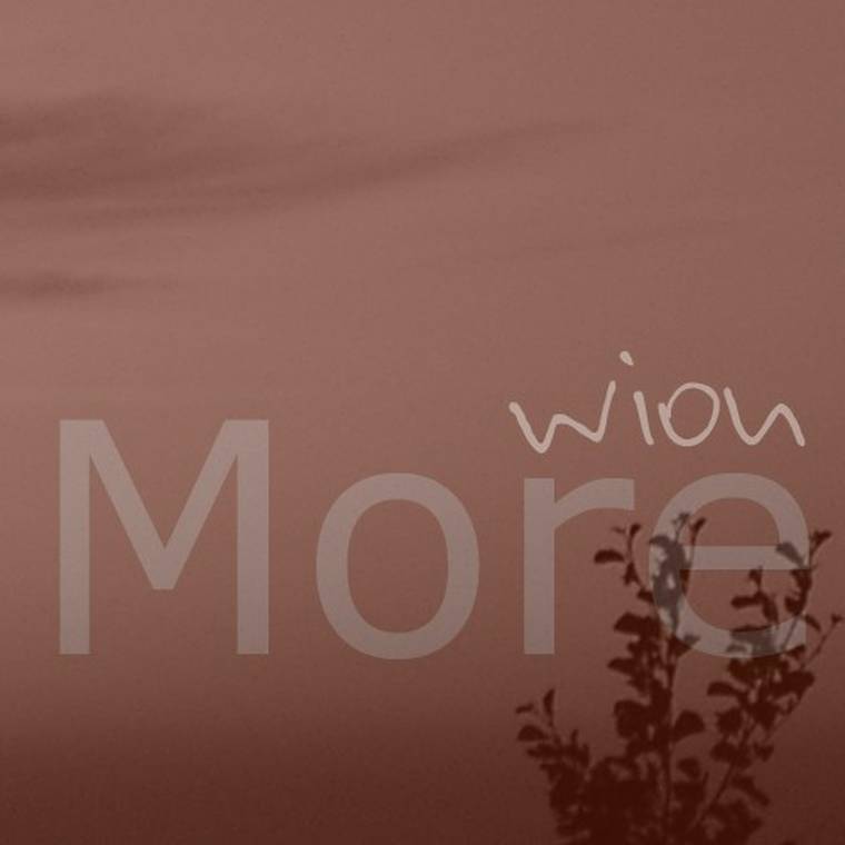 Image "music:cover-wion-more-760.jpg"