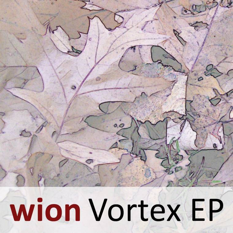 Image "music:cover-wion-vortex-760.jpg"